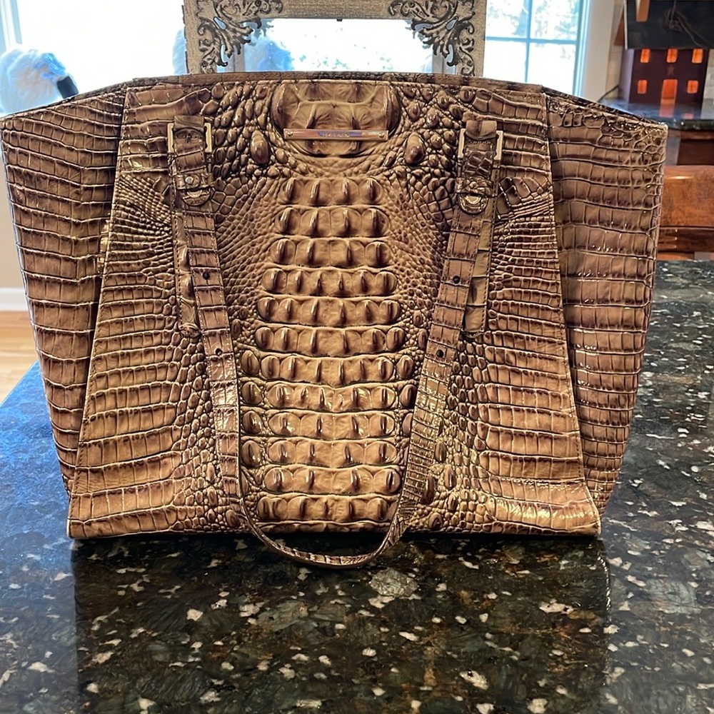 brahmin Paris bag